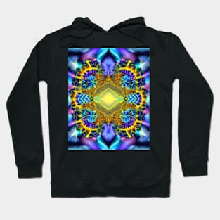 blue fractal Hoodie